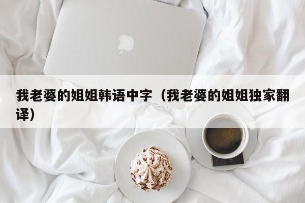 我老婆的姐姐韩语中字（我老婆的姐姐独家翻译）